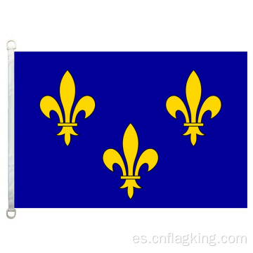 bandera lle-de-France 100% poliéster 90 * 150cm